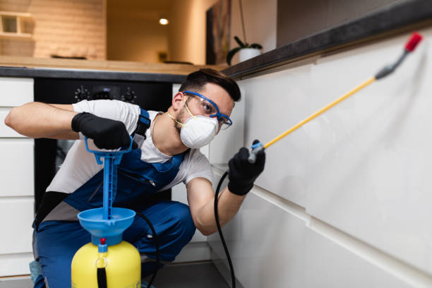 Best Cockroach Control Services  in Gages Lake, IL