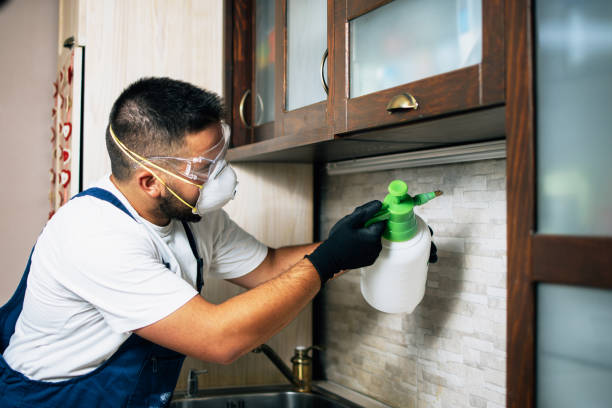 Best Residential Pest Control  in Gages Lake, IL