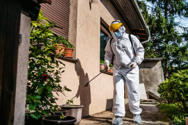 Best Wasp Removal Services  in Gages Lake, IL
