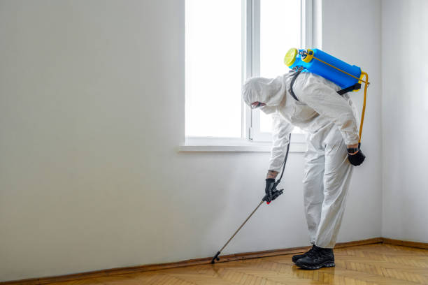 Best Pest Removal Services  in Gages Lake, IL