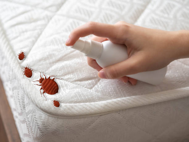 Best Mosquito Control Services  in Gages Lake, IL
