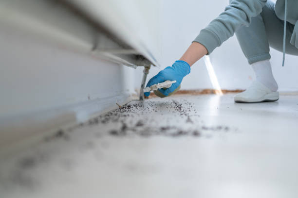 Best Pest Control Near Me in Gages Lake, IL