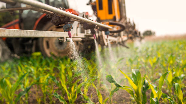 Professional Pest Control in Gages Lake, IL
